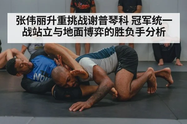 grappling martial arts training